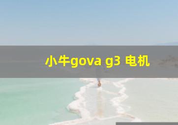 小牛gova g3 电机